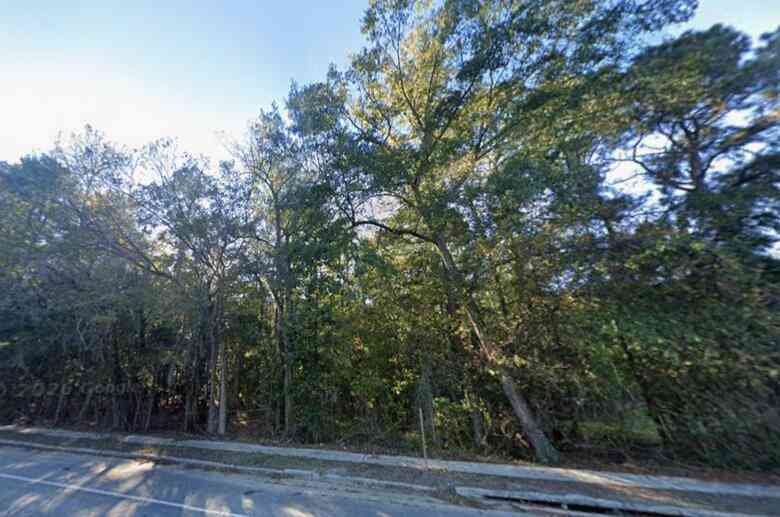 Vacant Land For Sale - Us-15<br/> Saint George, SC 29477