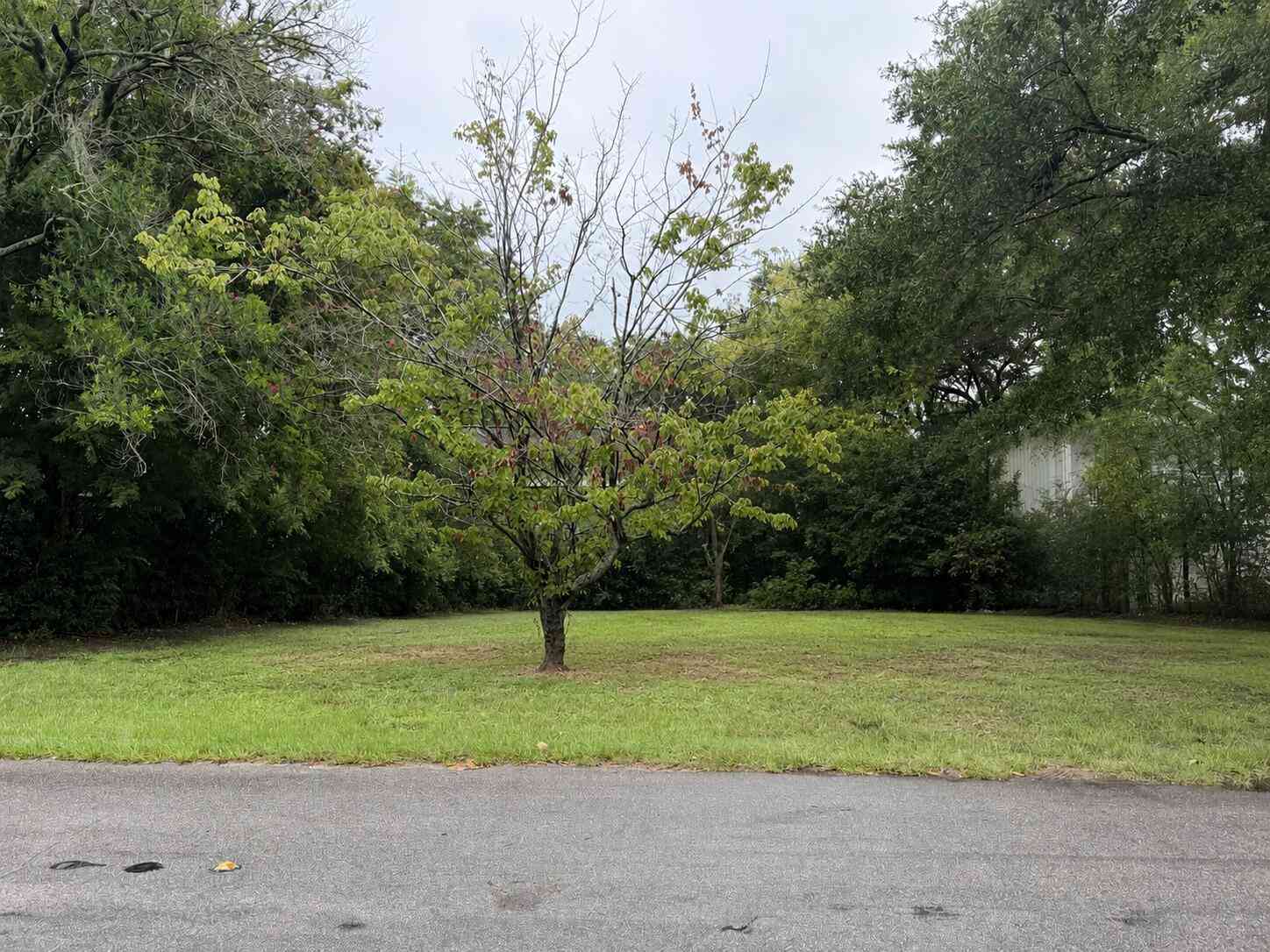 Vacant Land For Sale - 1490 Indian Street<br/> Mount Pleasant, SC 29464
