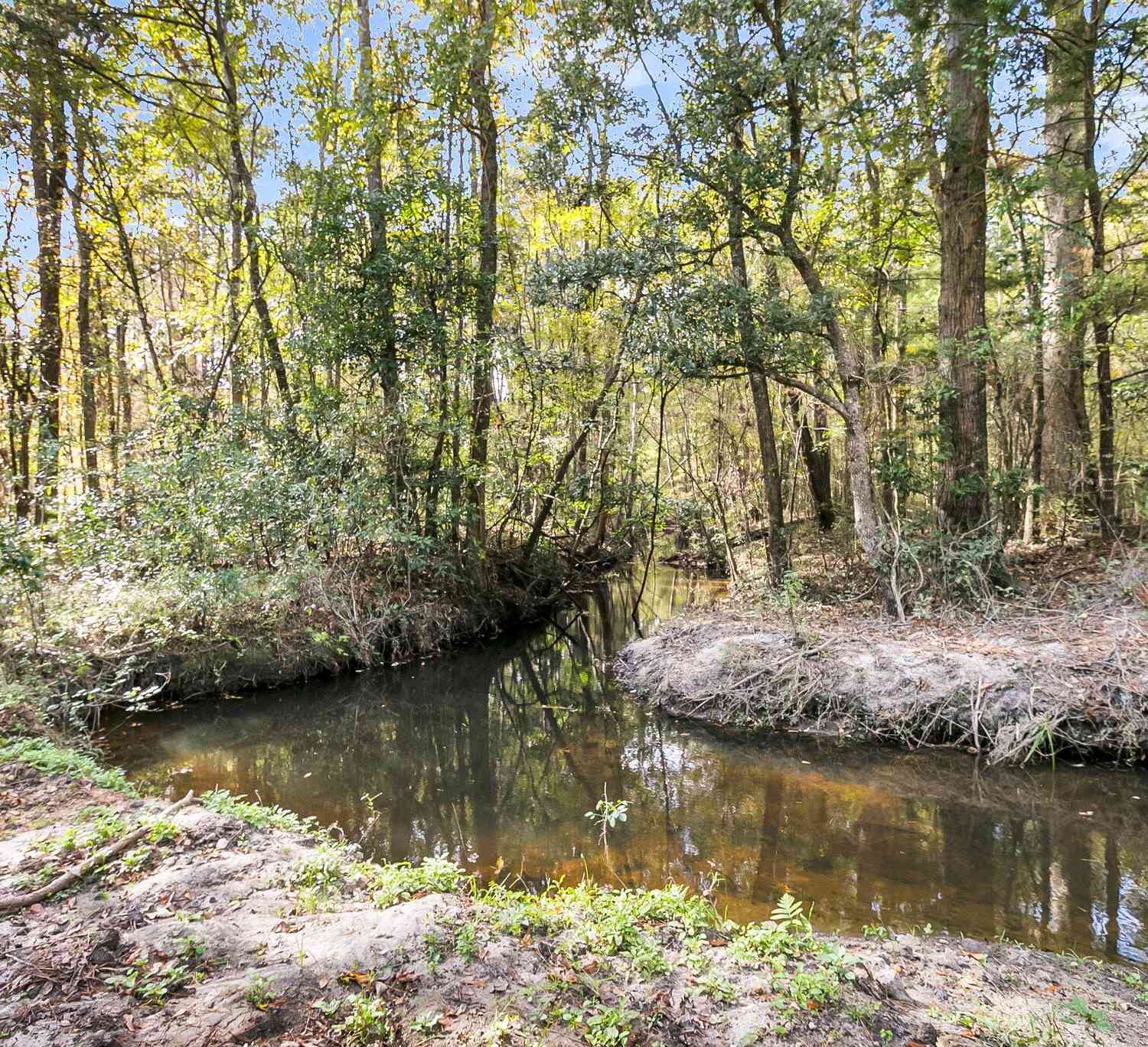 Vacant Land For Sale - 107 Weir Street<br/> Summerville, SC 29483