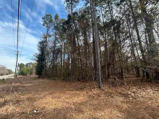 Vacant Land For Sale - 4020 Jefferies Highway<br/> Walterboro, SC 29488