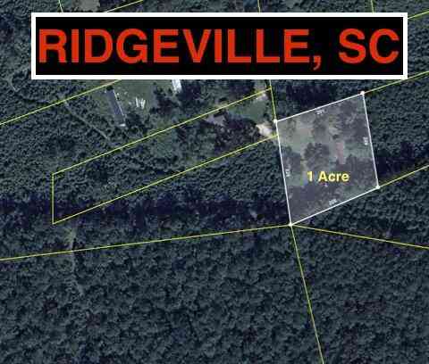 Vacant Land For Sale - 217 Joe Felder Road<br/> Ridgeville, SC 29472