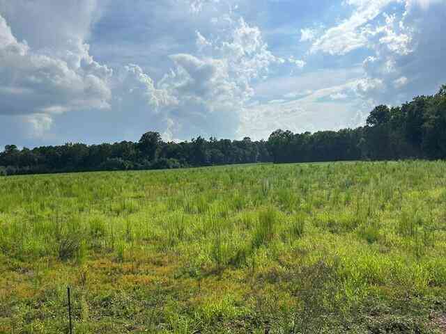 Vacant Land For Sale - LOT 2 7 Mile Road<br/> Harleyville, SC 29448