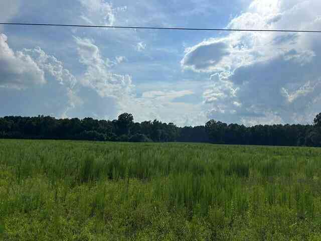 Vacant Land For Sale - LOT 3 7 Mile Road<br/> Harleyville, SC 29448