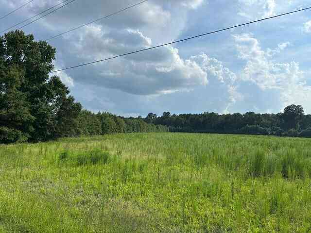 Vacant Land For Sale - LOT 4 7 Mile Road<br/> Harleyville, SC 29448