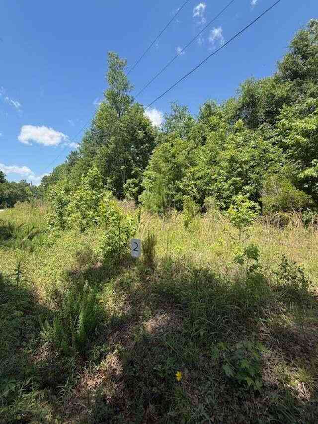 Vacant Land For Sale - Park Circle<br/> Branchville, SC 29432