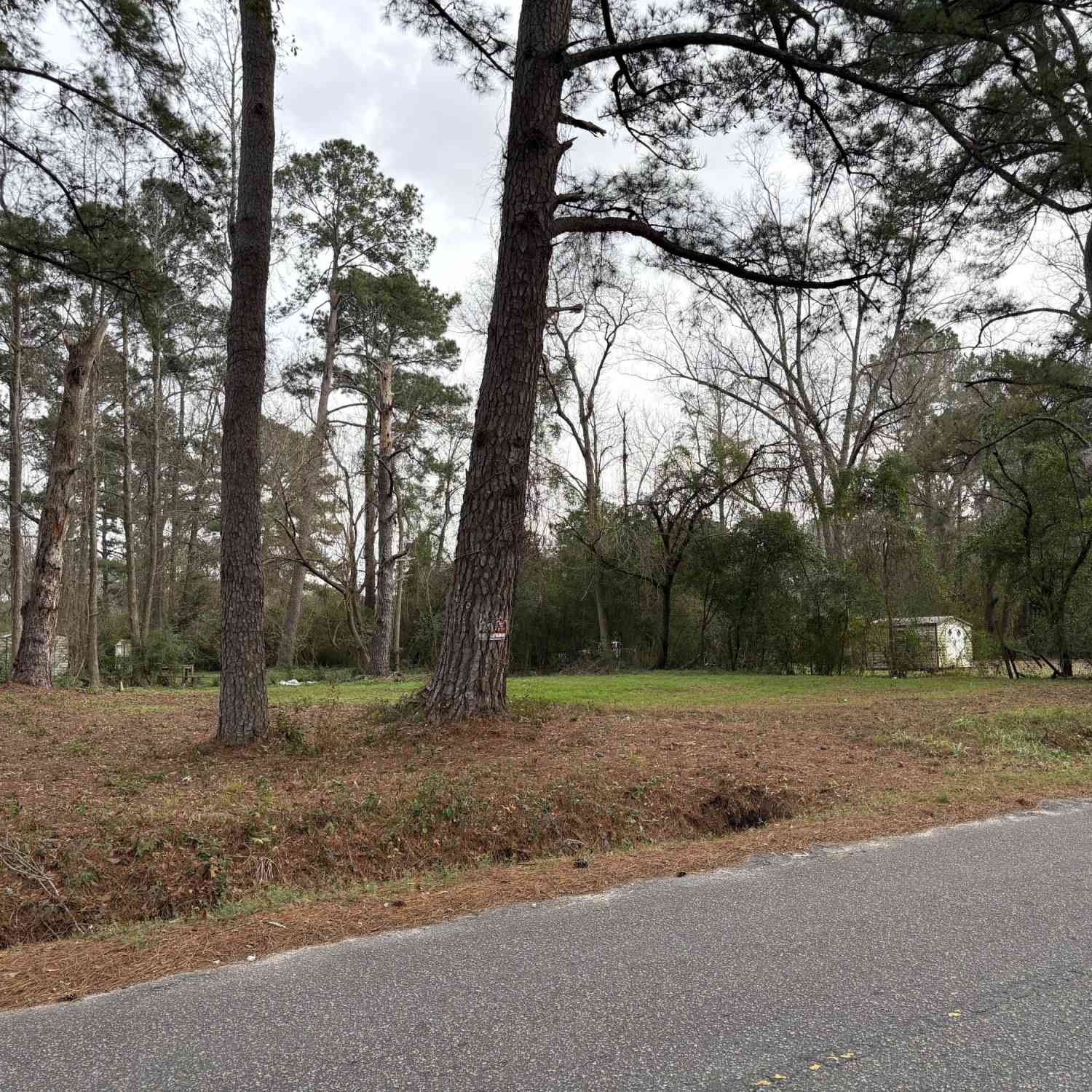 Vacant Land For Sale - 410 Poplar Street<br/> Walterboro, SC 29488