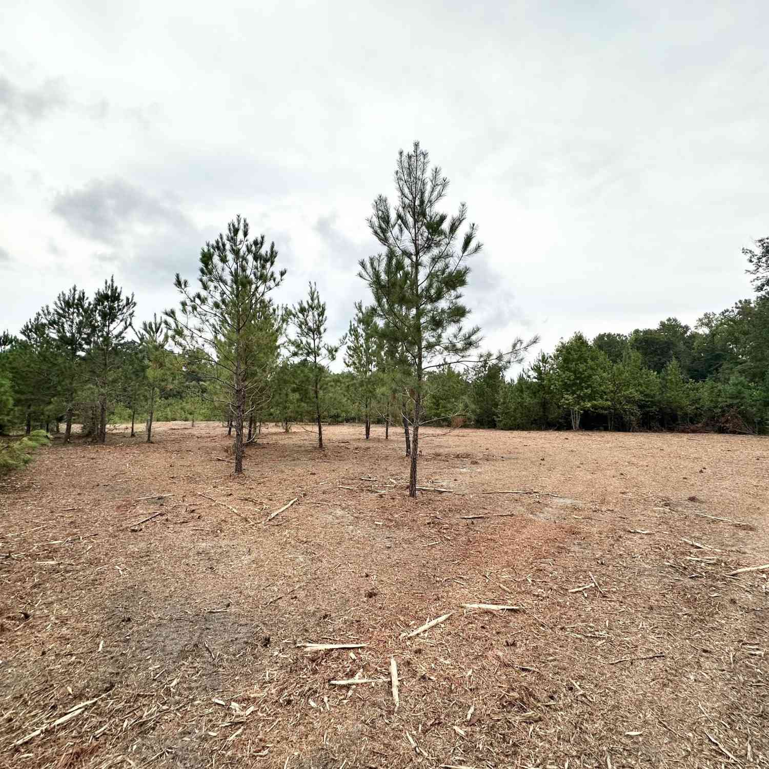 Vacant Land For Sale - Land<br/> Cordova, SC 29039