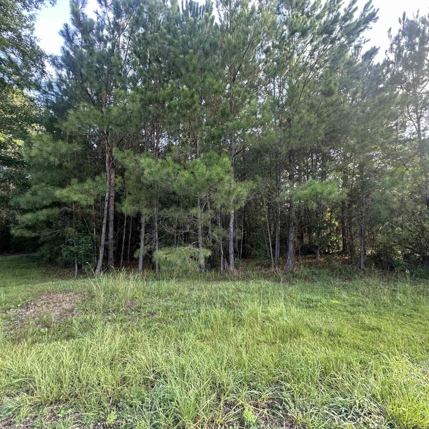 Vacant Land For Sale - 108 Blanchard Lane<br/> Jamestown, SC 29453