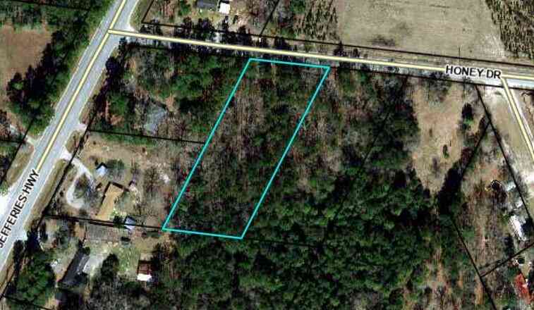 Vacant Land For Sale - 76 Honey Drive<br/> Walterboro, SC 29488