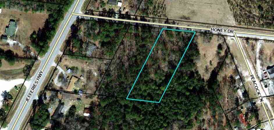 Vacant Land For Sale - 90 Honey Drive<br/> Walterboro, SC 29488