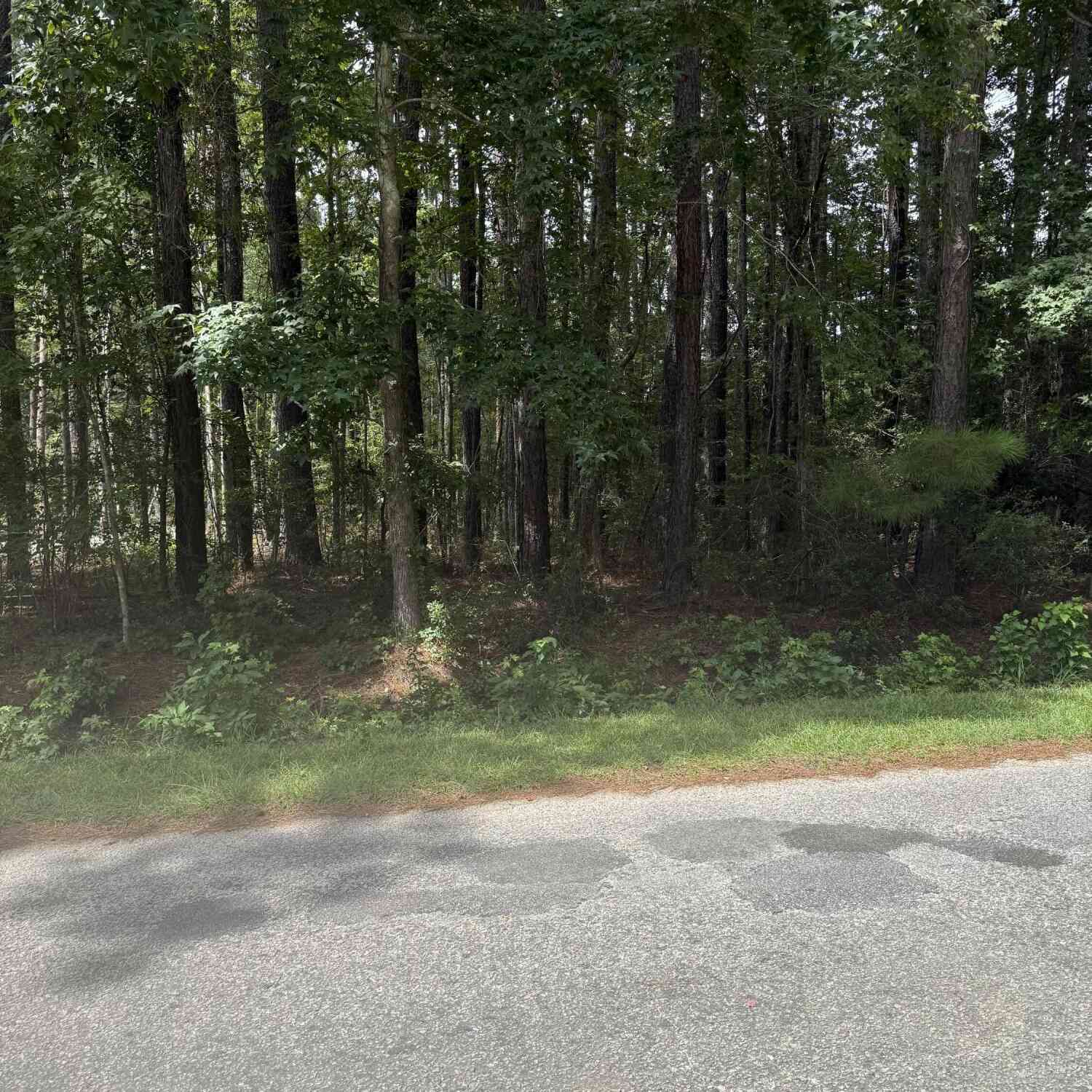 Vacant Land For Sale - Mary Ellie Drive<br/> Summerville, SC 29483
