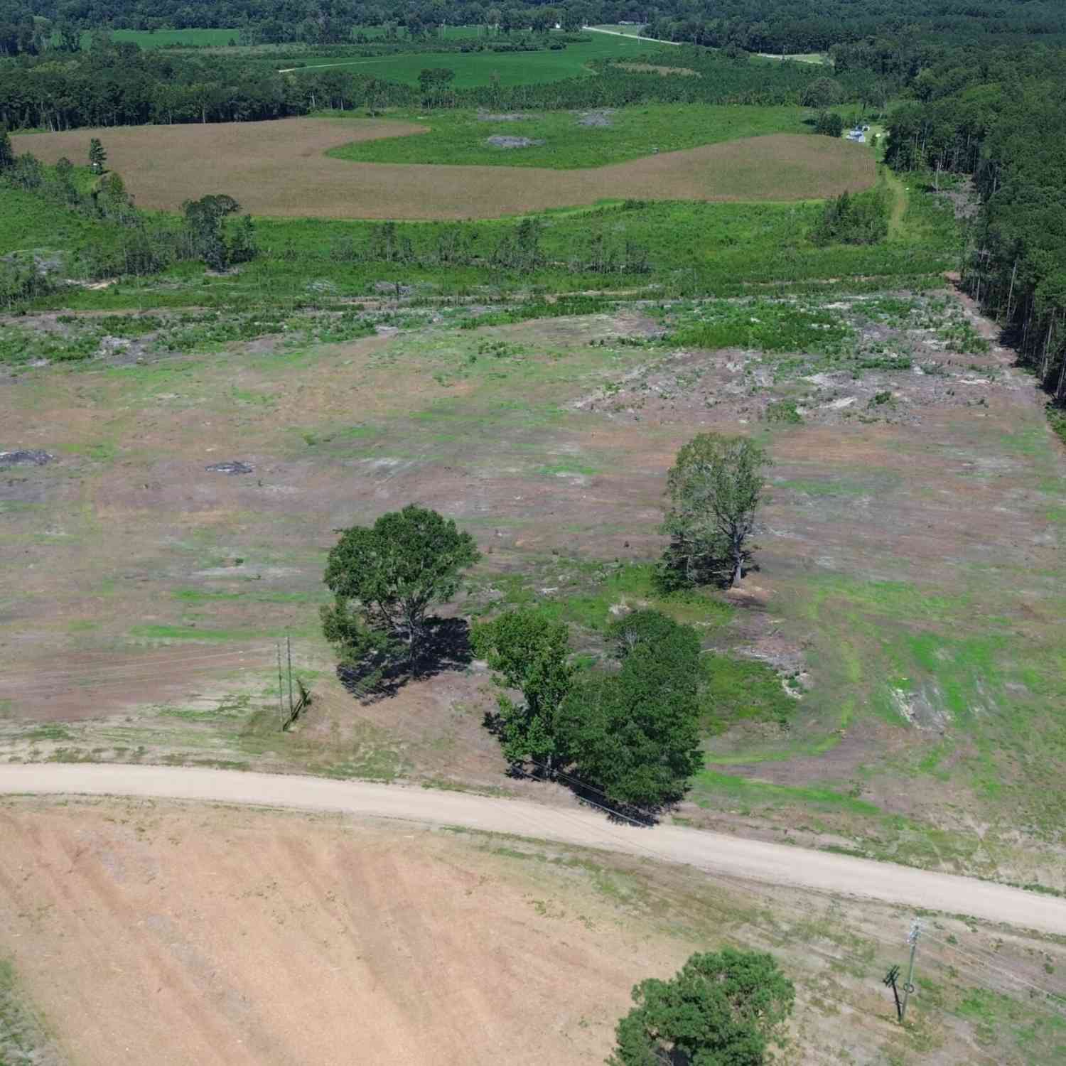 Vacant Land For Sale - 4 Azeeban Road<br/> Orangeburg County, Vance, SC 29163