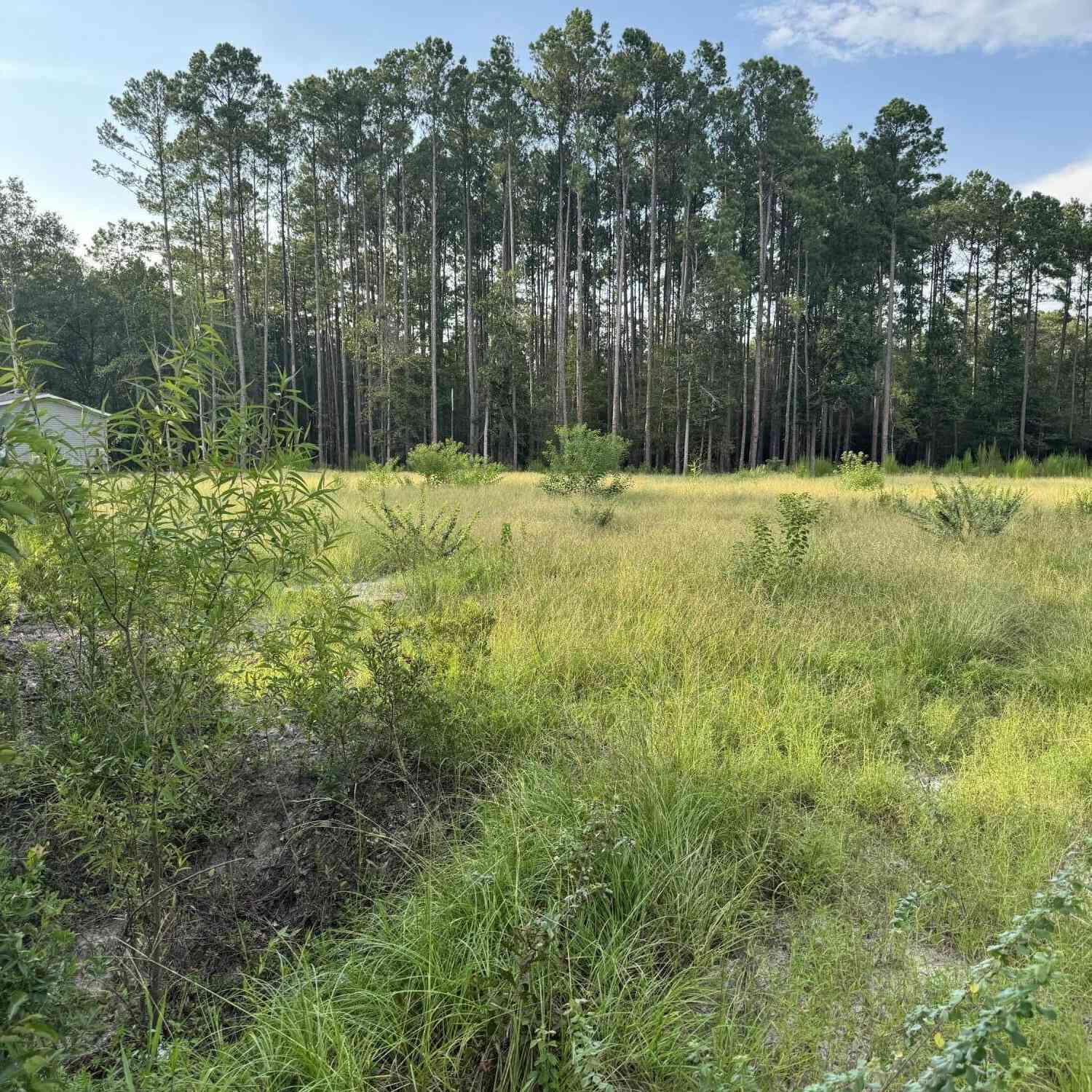 Vacant Land For Sale - 000 Saturn<br/> Colleton County, Walterboro, SC 29488