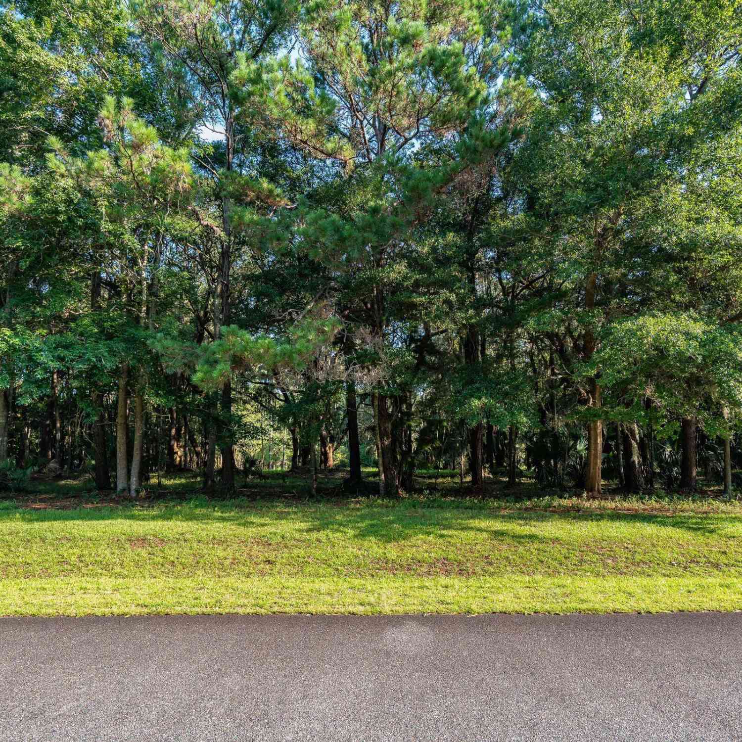 Vacant Land For Sale - 4132 Gnarled Oaks Lane #54<br/> Johns Island, SC 29455