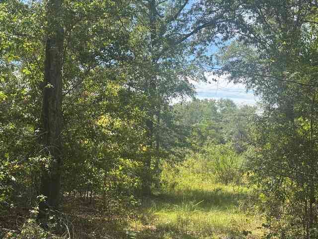 Vacant Land For Sale - 1651 1571 Creek Mill Road<br/> Orangeburg County, North, SC 29112