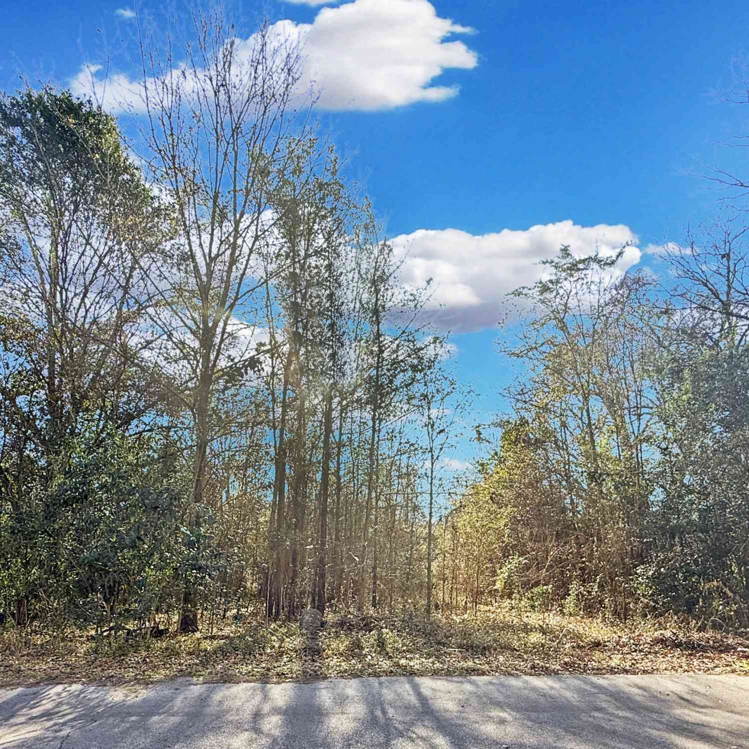 Vacant Land For Sale - 475 Coleman Avenue<br/> Orangeburg County, Orangeburg, SC 29115