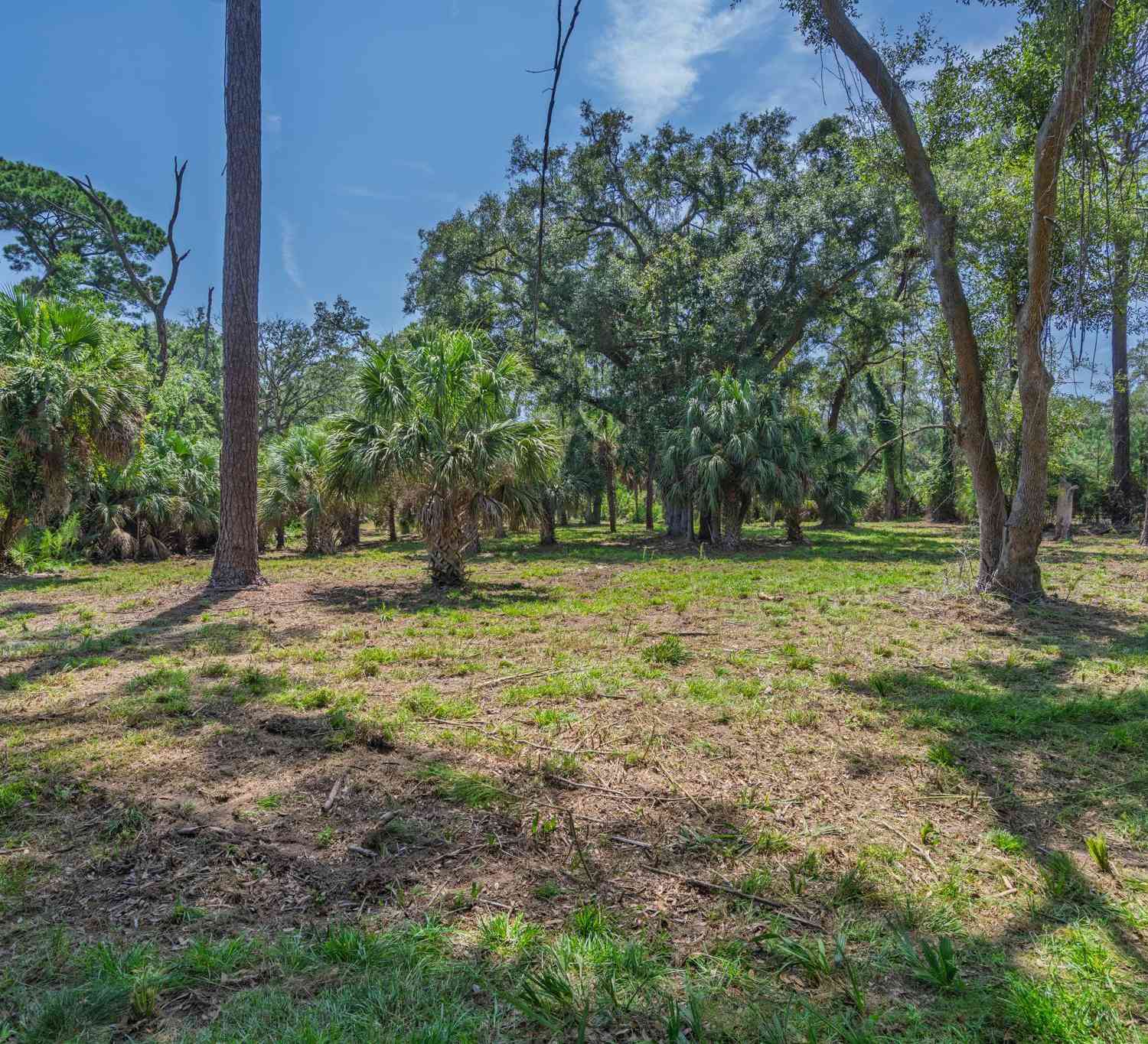 Vacant Land For Sale - Palmetto Road<br/> Edisto Island, SC 29438