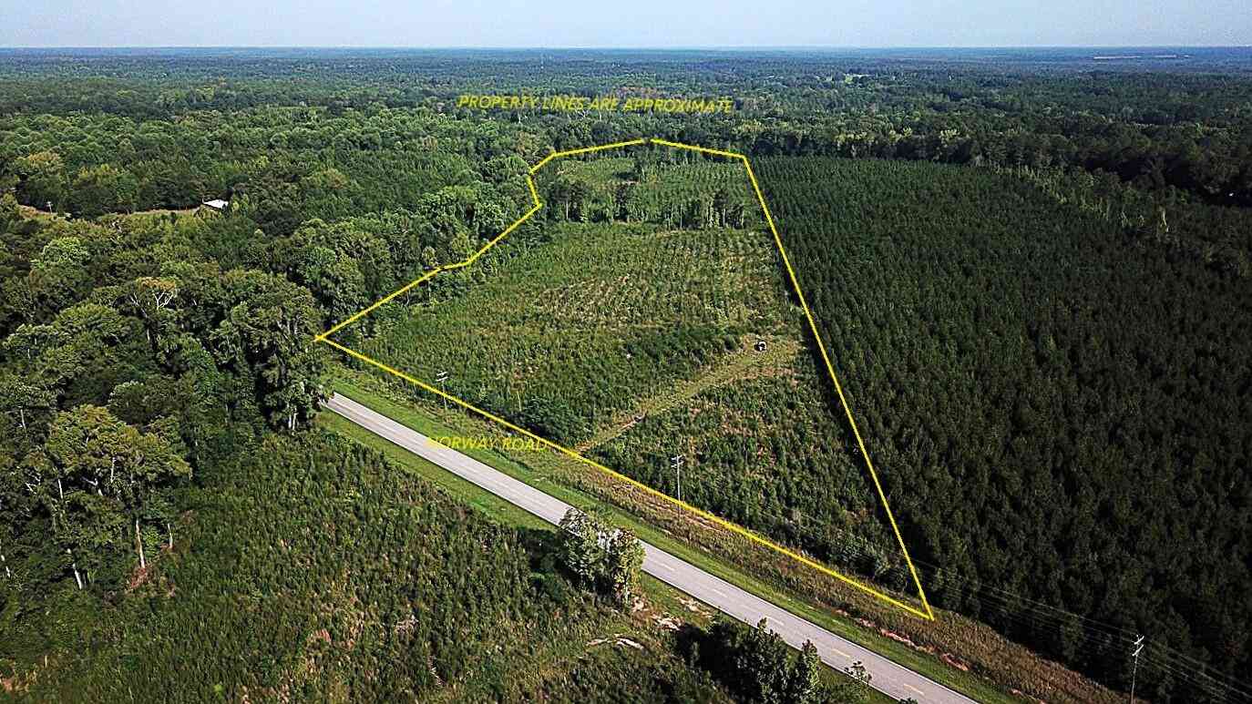 Vacant Land For Sale - 00 Norway Road<br/> Orangeburg County, Orangeburg, SC 29115