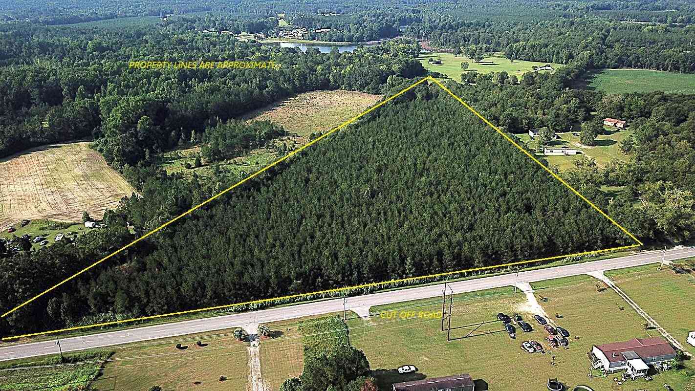 Vacant Land For Sale - 00 Cut Off Road<br/> Orangeburg County, Orangeburg, SC 29115