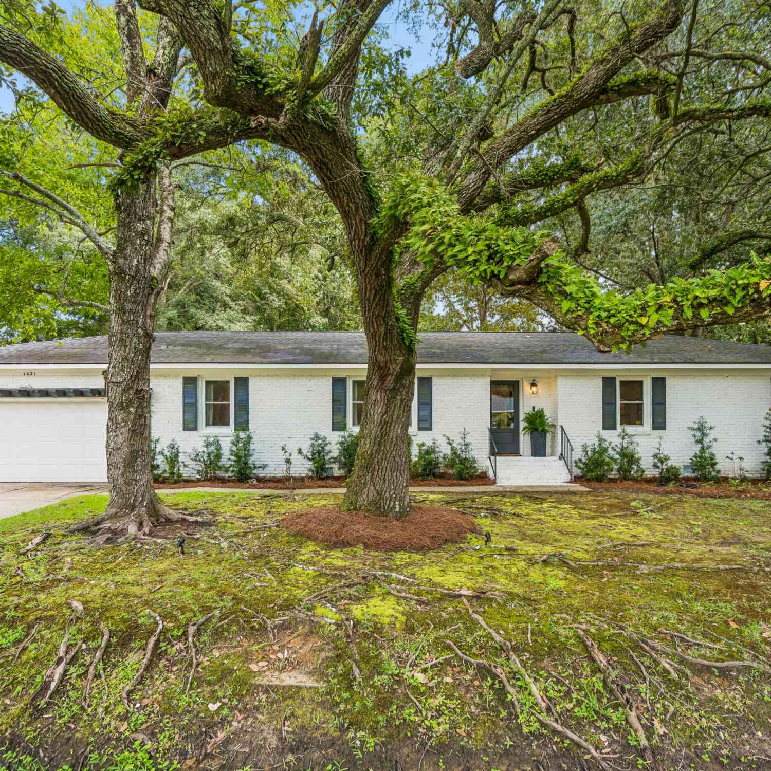 Homes For Sale - 1421 Tara Road<br/> Charleston, SC 29407