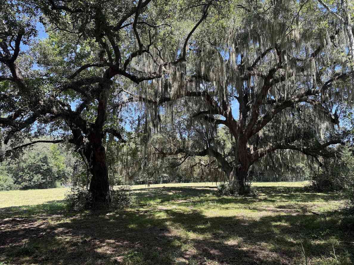 Vacant Land For Sale - 7817 Little Britton Road (lot A-1)<br/> Meggett, SC 29449