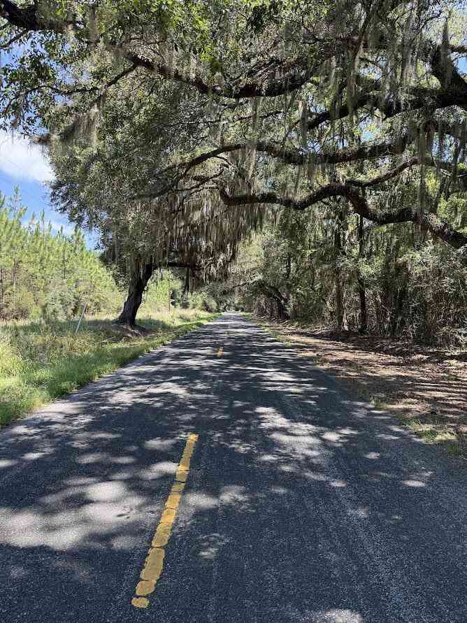 Vacant Land For Sale - 7817 Little Britton Road (lot A-2)<br/> Meggett, SC 29449