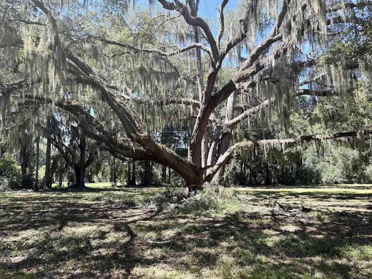 Vacant Land For Sale - 7817 Little Britton Road(lot C-1-b)<br/> Meggett, SC 29449