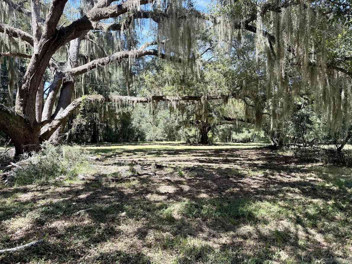 Vacant Land For Sale - 7817 Little Britton Road (c-1-c)<br/> Meggett, SC 29449