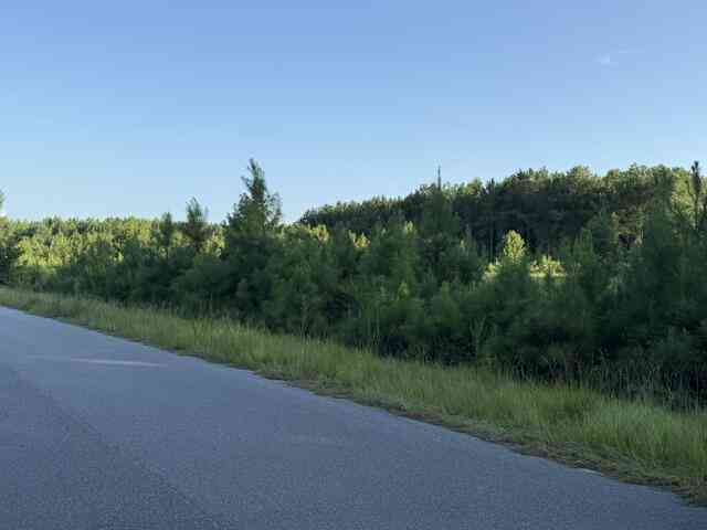 Vacant Land For Sale - Charmaine Lane<br/> Orangeburg County, Orangeburg, SC 29118