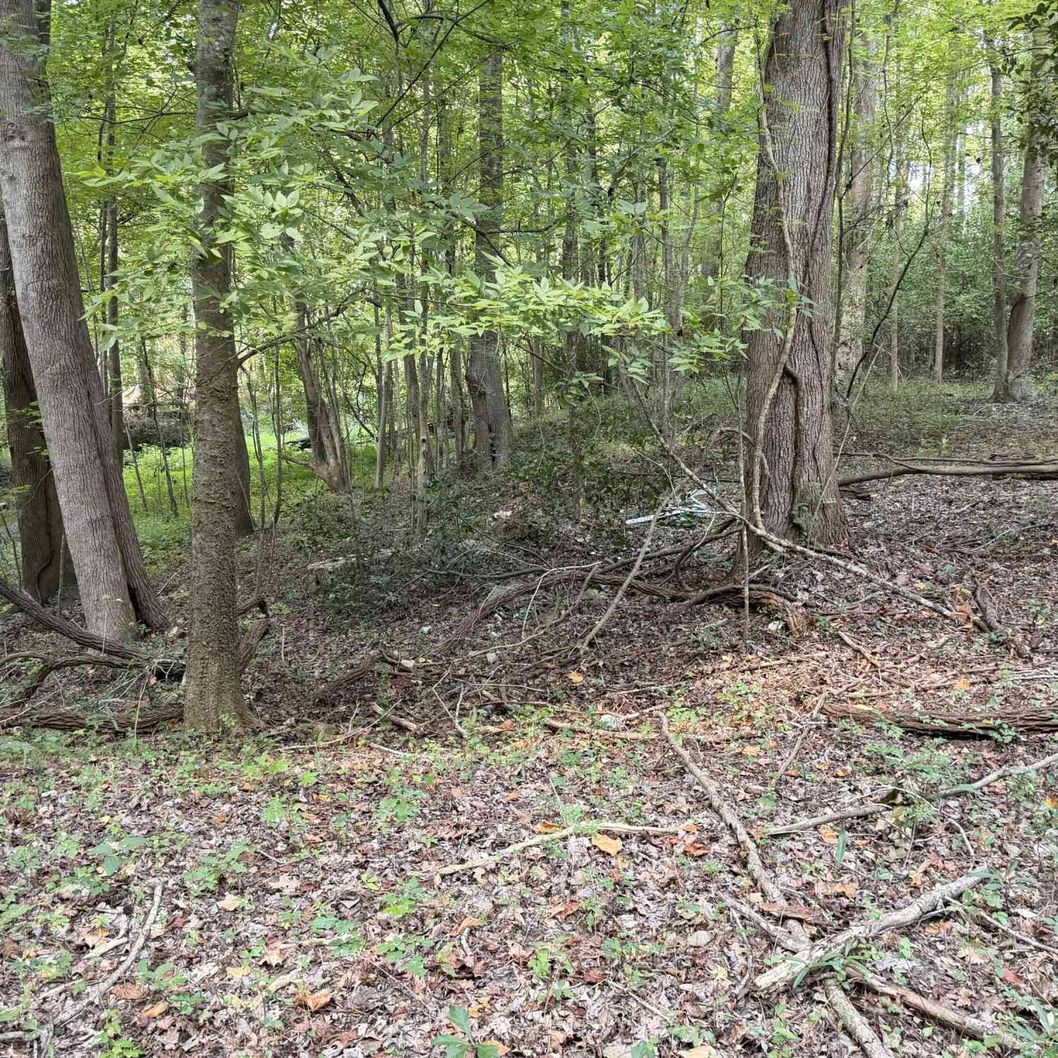 Vacant Land For Sale - 249 Cr-4<br/> Fairfax, SC 29827