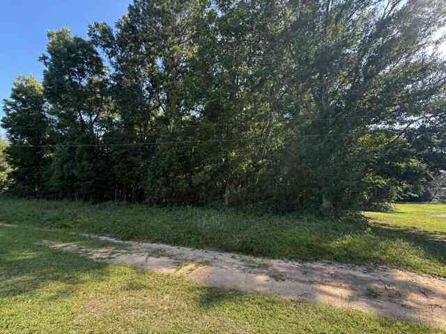 Vacant Land For Sale - Dora Road<br/> Orangeburg County, Orangeburg, SC 29115