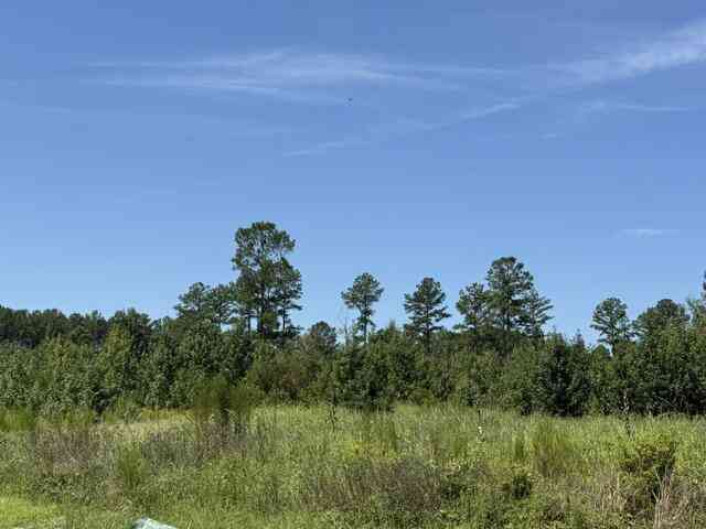Vacant Land For Sale - Lathan Drive<br/> Orangeburg County, Orangeburg, SC 29118
