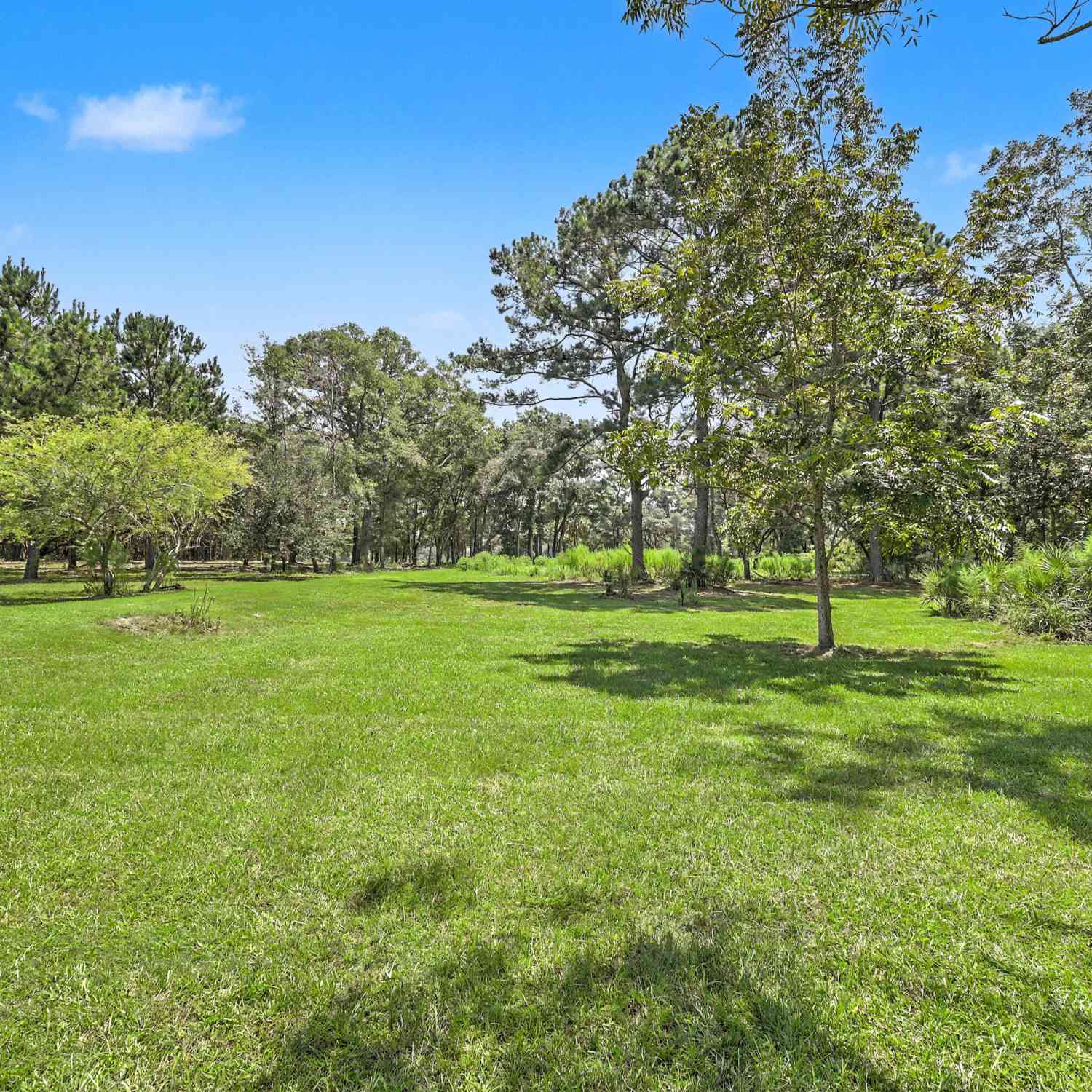Vacant Land For Sale - 912 Brown Creek Road<br/> Charleston County, Edisto Island, SC 29438