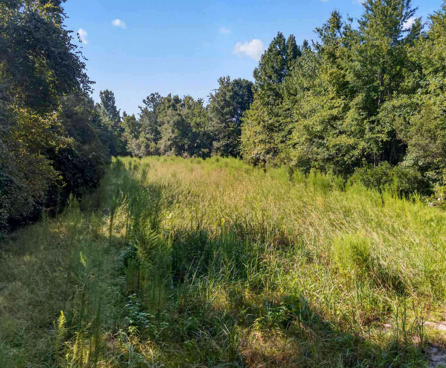 Vacant Land For Sale - 1218 Misty Ridge Lane<br/> Colleton County, Walterboro, SC 29488