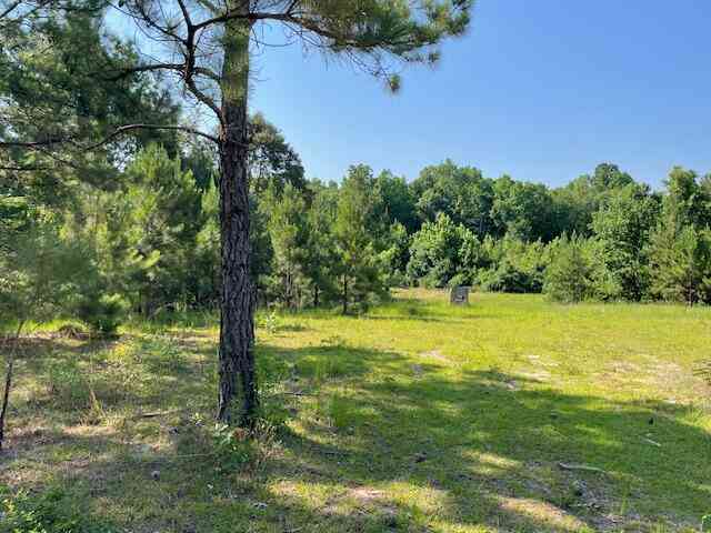 Vacant Land For Sale - Old River Road<br/> Calhoun County, Elloree, SC 29047