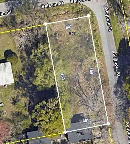 Vacant Land For Sale - 1501 Balsam Street<br/> Charleston County, Charleston, SC 29407