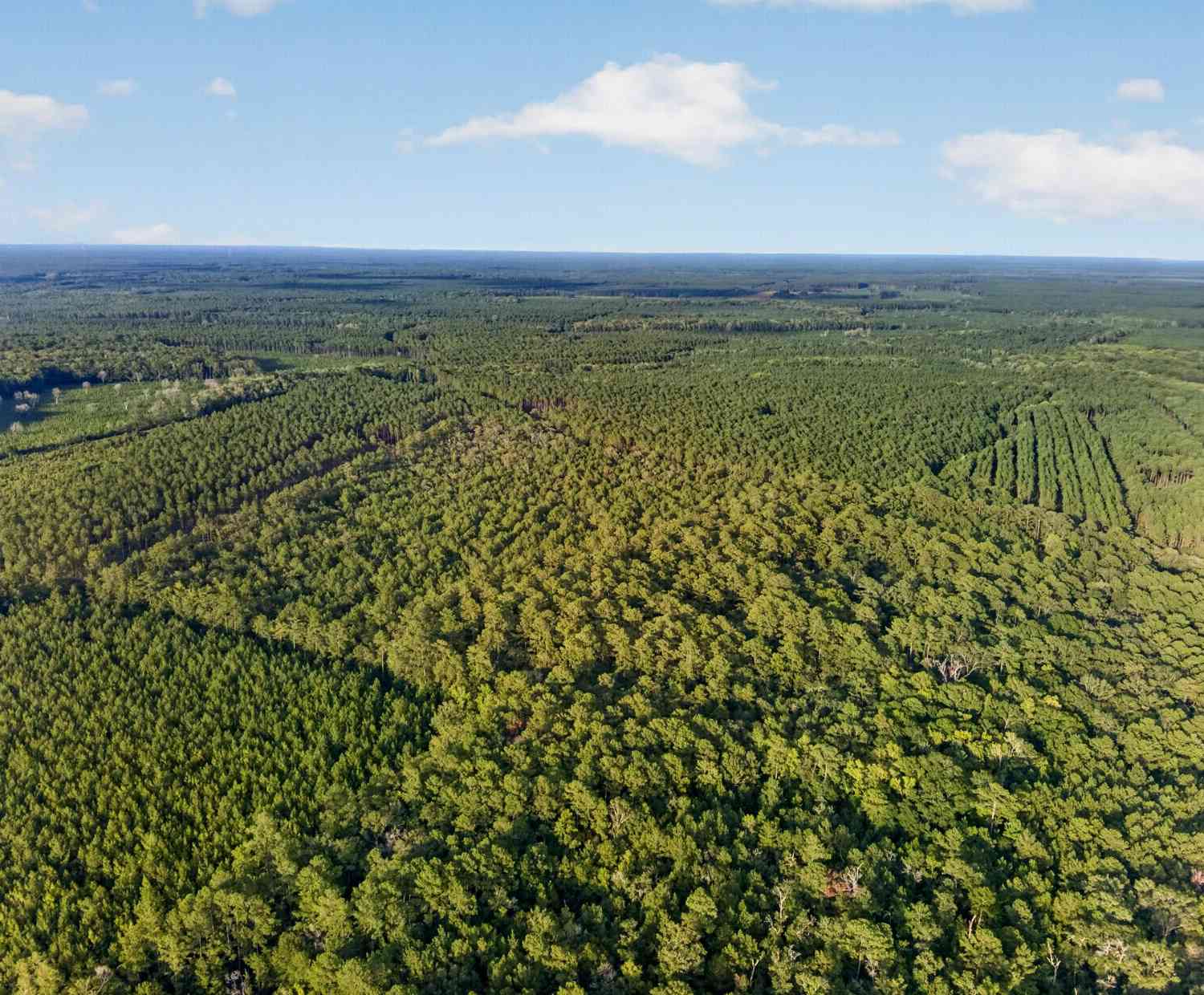 Vacant Land For Sale - Greenwood Road<br/> Charleston County, Adams Run, SC 29426