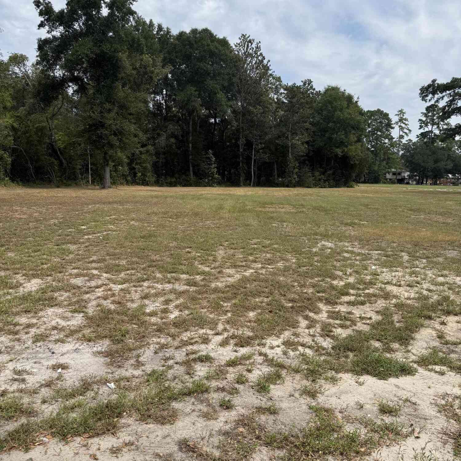 Vacant Land For Sale - 621 Chaplin Street<br/> Colleton County, Walterboro, SC 29488