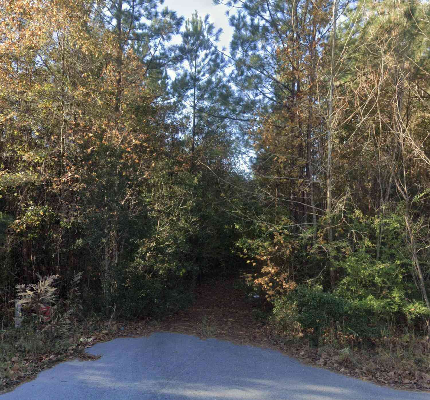 Vacant Land For Sale - 00 Oliver Street<br/> Hampton, SC 29924