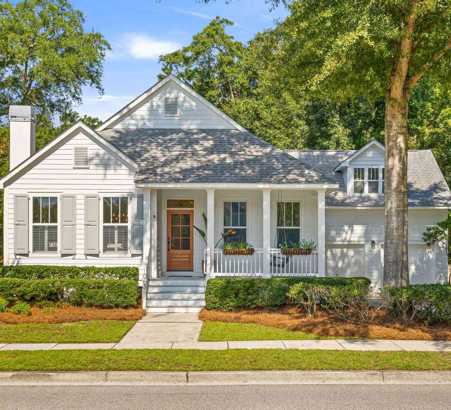 Homes For Sale - 1063 Barfield Street<br/> Charleston, SC 29492