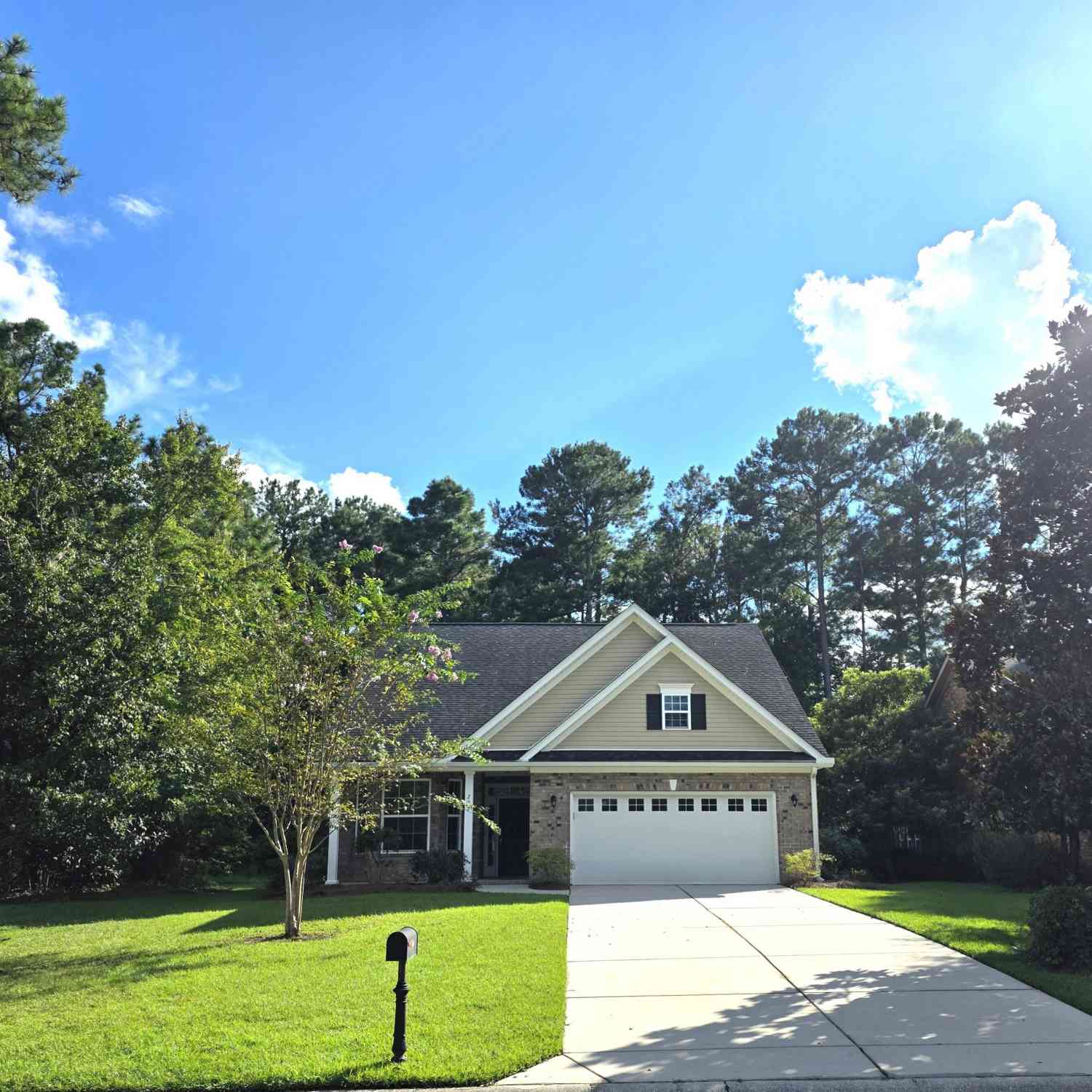 Homes For Sale - 297 Renau Boulevard<br/> Summerville, SC 29483