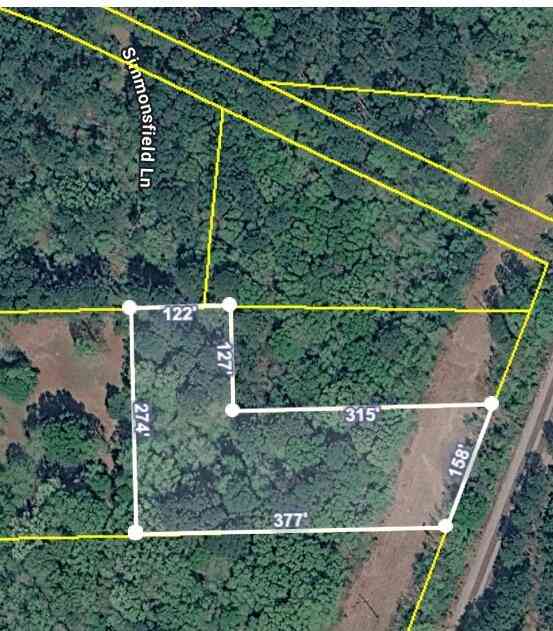 Vacant Land For Sale - Simmonsfield Lane<br/> Moncks Corner, SC 29461
