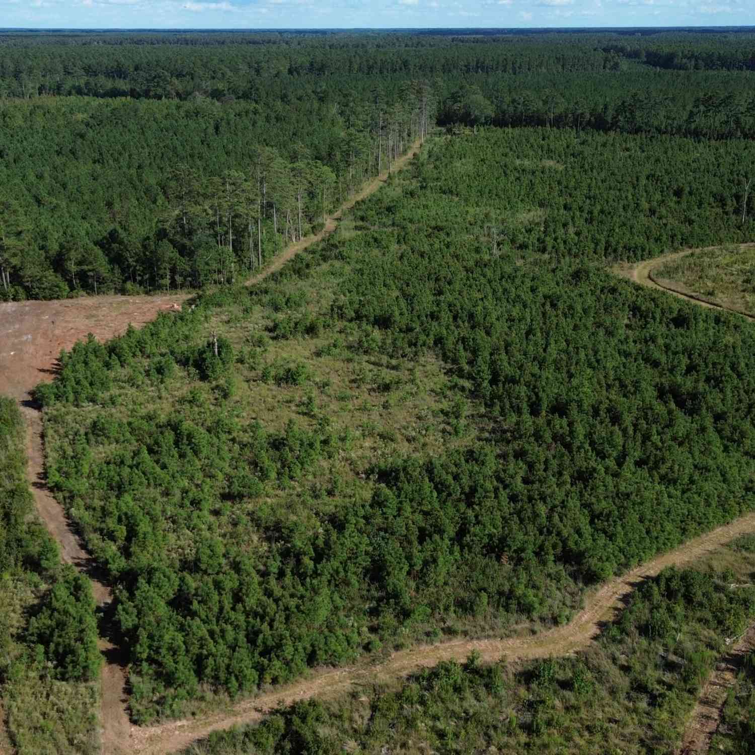 Vacant Land For Sale - 3 Bethel Forest Road<br/> Rowesville, SC 29133