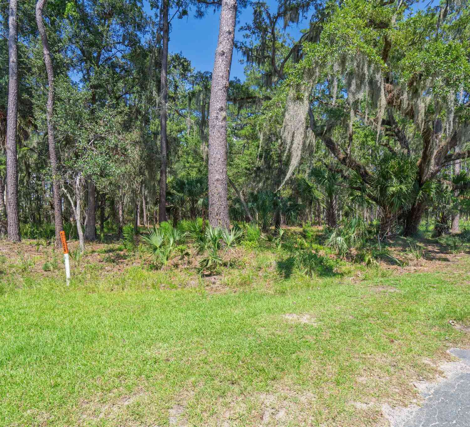 Vacant Land For Sale - 7860 Russell Creek Road<br/> Charleston County, Edisto Island, SC 29438