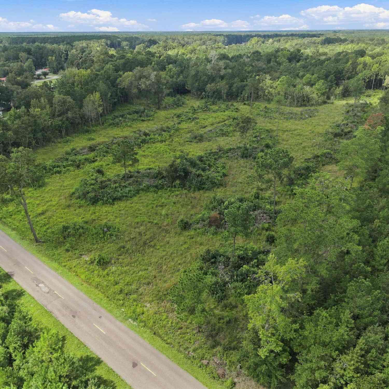 Vacant Land For Sale - 000 Sheep Island Road<br/> Summerville, SC 29486