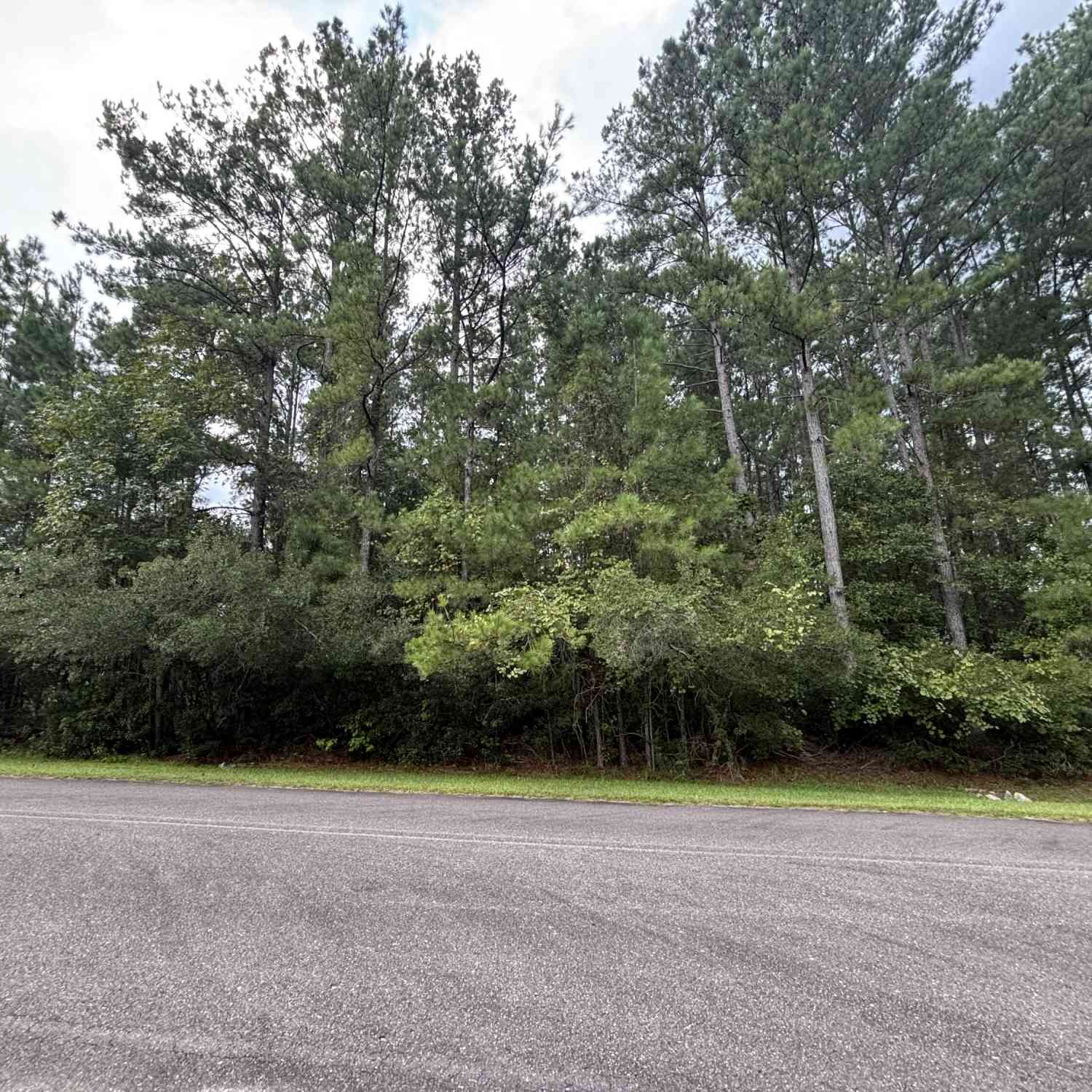 Vacant Land For Sale - 1128 Plantation Overlook<br/> Moncks Corner, SC 29461