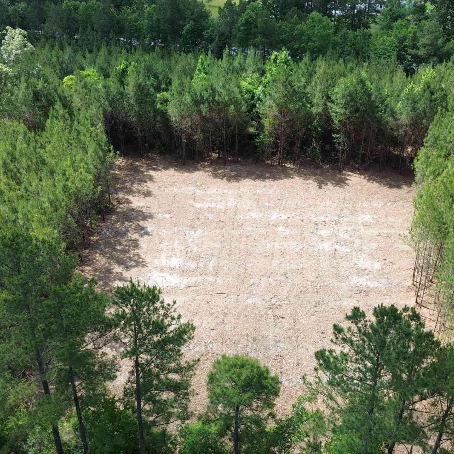Vacant Land For Sale - 3 Highway 311<br/> Cross, SC 29436