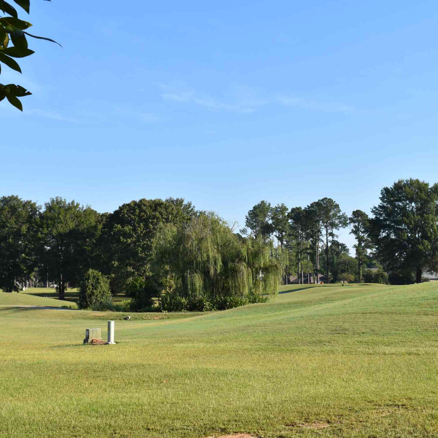 Vacant Land For Sale - 10 N Lake Circle #R-16<br/> Manning, SC 29102
