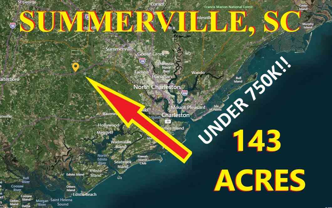 Vacant Land For Sale - S Hwy 17 S<br/> Ridgeville, SC 29472