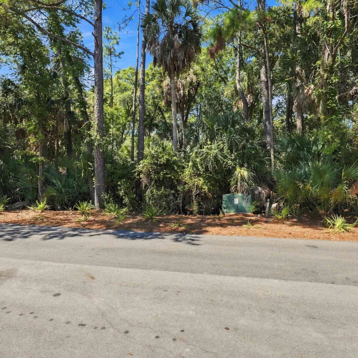 Vacant Land For Sale - 320 Moon Tide Lane<br/> Kiawah Island, SC 29455